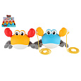 Teddies Krab lezoucí na natažení plast 20x12cm 2 barvy