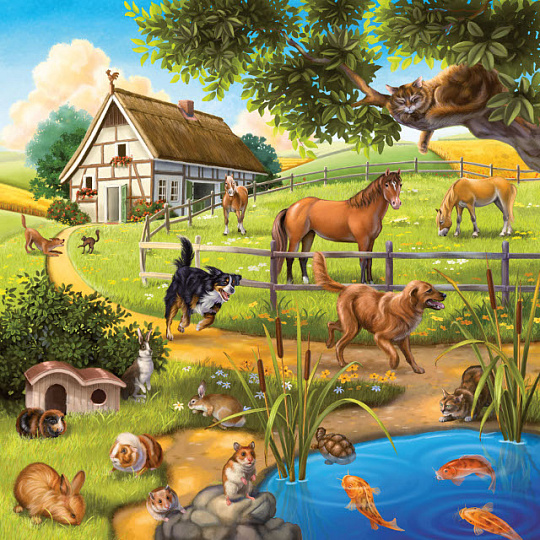 Ravensburger Domácí zvířata 3 x 49d