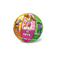 Míč Tlapková patrola/Paw patrol nafouknutý 14cm