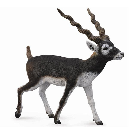 Collecta zvířátka Collecta figurka zvířátka - Antilopa jelení Collecta zvířátka Collecta figurka zvířátka - Antilopa jelení
