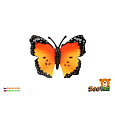 Motýl Monarcha africký (babočka) zooted plast 7cm 