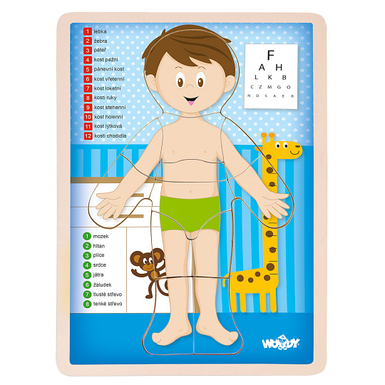 Woody Puzzle "Lidské tělo" - Kluk CZ