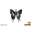 Motýl tropický Papilio/otakárek černo-šedivý zooted plast 6cm 