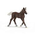 Schleich 13899 Zvířátko - hříbě černé lesní