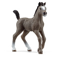 Schleich 13957 Zvířátko - Hříbě plemene Selle Français