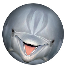 Sporto Mac Toys SPORTO Podvodní míč - delfín