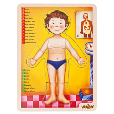 Woody Puzzle - lidské tělo