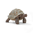 Schleich 14824 Zvířátko - želva obrovská