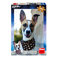 Dino PES GUMP 300 XL Puzzle