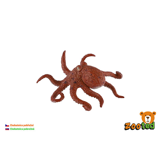 ZOOted Chobotnice pobřežní zooted plast 8cm 