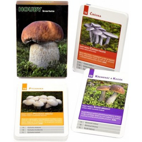 Dino HOUBY Kvarteto Dino HOUBY Kvarteto