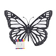 Rappa Motýlí křídla k vybarvení