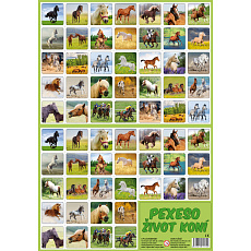 Rappa Pexeso Život koní Rappa Pexeso Život koní