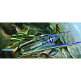Academy Model Kit letadlo 12441 - P-51C (1:72)