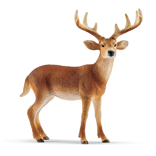 Schleich 14818 Zvířátko Jelen Běloocasý Schleich 14818 Zvířátko Jelen Běloocasý