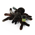 Rappa Plyšový pavouk 20 cm ECO-FRIENDLY PLUSH WORLD