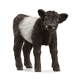 Schleich 13969 Zvířátko - gallowayské tele
