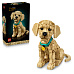 LEGO Icons 11384 Štěně zlatého retrívra