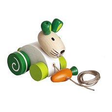 Detoa Zajíc s mrkví