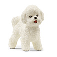 Schleich 13963 Zvířátko - Bišon frisé