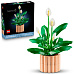 LEGO Botanicals 11504 Lopatkovec