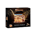 Tiny Adventures REVELL 00619 - Natural Museum "Brachiosaurus"