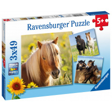 Ravensburger dětské puzzle Koně 3x49 dílků