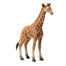 Collecta zvířátka Collecta figurka zvířátka - Žirafa - mládě