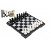 Šachy + dáma plast společenská hra v krabici 29x14,5x4cm
