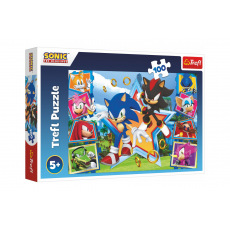 Puzzle Seznamte se se Sonicem/Sonic the Hedgehog 100 dílků 41x27,5cm v krabici 29x19x4cm