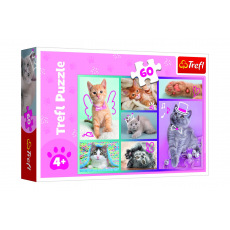Puzzle Roztomilé kočky 33x22cm 60 dílků v krabici 21x14x4cm