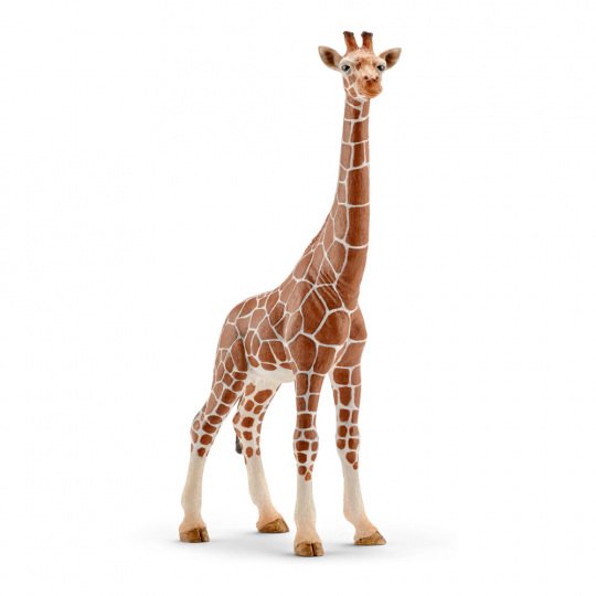 Schleich 14750 Zvířátko - žirafa samice